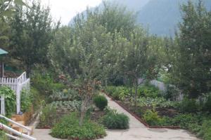 Gallery image of Enthralling Escapes Nature Stay and Trek in Manāli