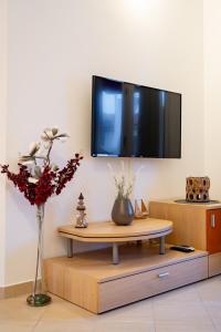 Μια τηλεόραση ή/και κέντρο ψυχαγωγίας στο Apartment Pijaceta