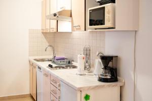 Η κουζίνα ή μικρή κουζίνα στο Apartment Pijaceta