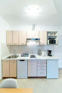 Η κουζίνα ή μικρή κουζίνα στο Apartment Pijaceta