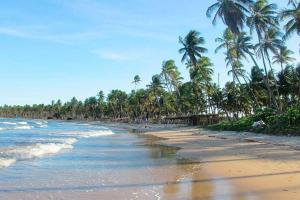a sandy beach with palm trees and the ocean at Casa aconchegante em Barra de Caravelas in Caravelas