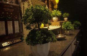 Fotografie z fotogalerie ubytování HOTEL DADOs INN v destinaci Panadží