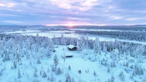 列维The Fell的小屋享有雪覆盖森林的空中景致