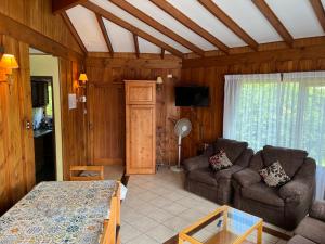Cabañas Los Tilos Pucón في بوكون: غرفة معيشة فيها كرسيين و كنب و تلفزيون