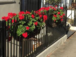 a black fence with red geraniums on it at Captains Quarters 4 Apartment in Plymouth