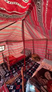 Φωτογραφία από το άλμπουμ του مخيم عروق الجوفاءOroj aljofa camp σε Ţawī Sulaym