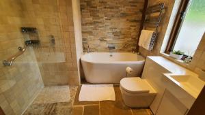 a bathroom with a tub and a toilet and a sink at Swn Y Nant Lodge with hot tub Brecon in Brecon +21 photos