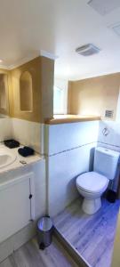 a small bathroom with a toilet and a sink at Studio 24m2 cosy classé, lit Queen Size, Netflix, wifi, 400m centre, parking, boîte à clés, Gîtes La Tarine in Albertville +24 photos