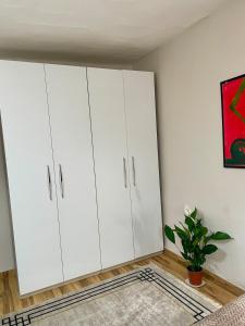 une chambre avec des armoires blanches et une plante en pot dans l'établissement Quite and Modern Studio, à Tirana 7 autres photos