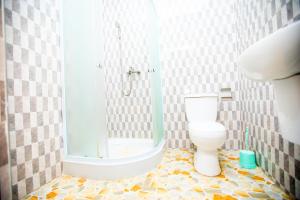 a bathroom with a shower and a toilet at Mike's B&B in Kwabenya