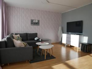 a living room with a couch and a tv and a table at Hohegeiß-Braunlage-Apartment 374 in Braunlage