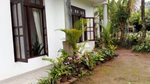 a garden outside a house with plants at Bernard Homestay in Kandy