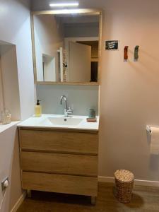 a bathroom with a sink and a mirror at Longère cœur de village proche des plages in Sassetot-le-Mauconduit