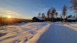 a snow covered road with a cabin in the distance at Astridstua in Åsnes