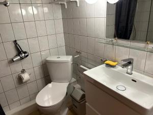 un bagno bianco con un water e un lavandino di Gite Gabrielle a Blaesheim Altre 30 foto
