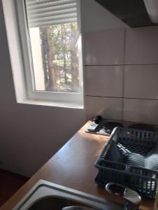 Köök või kööginurk majutusasutuses Apartman Šumski San +22 fotot