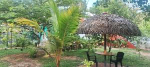 Ảnh trong thư viện ảnh của Kuttappy dreams ở Alleppey