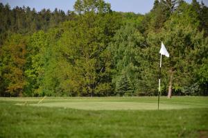 Attività di golf presso l'appartamento o nelle vicinanze