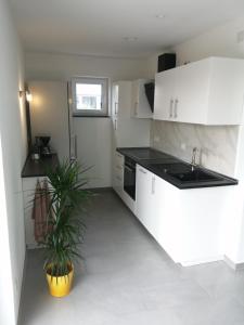 a kitchen with white cabinets and a potted plant at Allgäu-Ferienwohnung am Bachgrund in Argenbühl