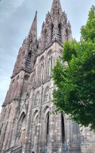 a large cathedral with a tree in front of it at Appartement calme hypercentre in Clermont-Ferrand