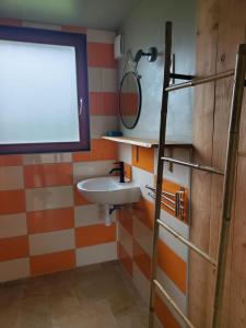 a bathroom with a sink and a mirror at Le Merle Moqueur, maisonnette en bois, Les kabanes en Kreiz Breizh in Rostrenen