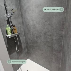 bagno con doccia e soffione di Magnifique Studio - Centre ville - Pèlerins a Le Puy en Velay