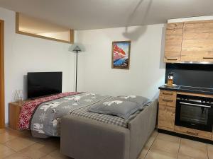 a bedroom with a bed and a flat screen tv at Haut de Cry in Conthey