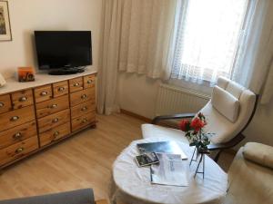 Televízia a/alebo spoločenská miestnosť v ubytovaní Schöne Gartenwohnung mit Blick ins Grüne