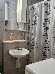 Et badeværelse på Apartments D&D Sutomore + 2 billeder