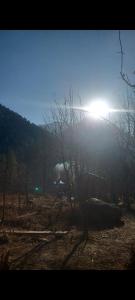 Φωτογραφία από το άλμπουμ του Area 51 cafe and farmstay kasol σε Kasol