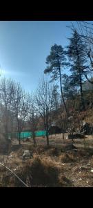 Φωτογραφία από το άλμπουμ του Area 51 cafe and farmstay kasol σε Kasol +7 φωτογραφίες