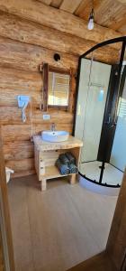 un baño con lavabo y espejo en Chalet Gabriela, en Şarul Dornei