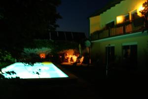 Basen w obiekcie Landhaus Pension Jany lub w pobliżu
