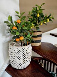 Afbeelding uit fotogalerij van Villa JADE, VUE MER, PISCINE PRIVEE, PLAGE A PIEDS in Le Gosier