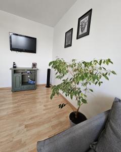 a living room with a couch and a potted plant at Apartament WELES in Bolesławiec