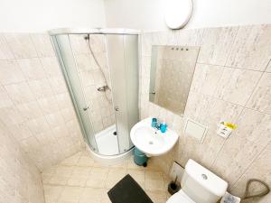 a bathroom with a shower and a toilet and a sink at Penzión na Sihoti in Trenčín