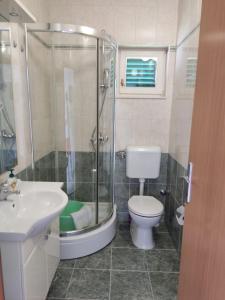 a bathroom with a shower and a toilet and a sink at Apartmani Šperanda Pisak in Pisak +51 photos