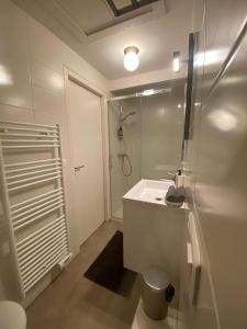 a white bathroom with a shower and a sink at Sympathique T3 cœur de village in Viuz-en-Sallaz