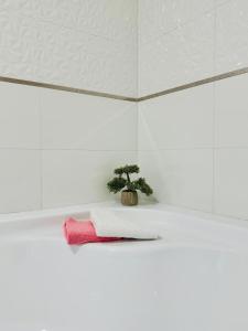 Fotografie z fotogalerie ubytování Apartmán CORA v Jaroměři