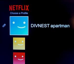 Billede fra billedgalleriet på DIVNEST apartman i Divčibare