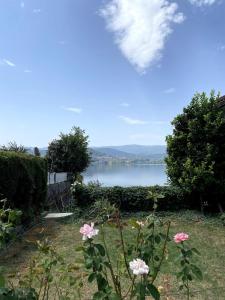 Puente-CastreloにあるMaison familiale avec vueのピンクの花の庭から湖の景色を望めます。