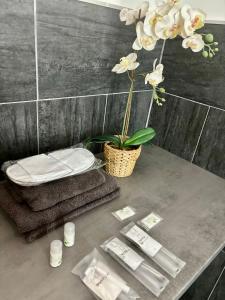 Koupelna v ubytování La Suite Hotel & Apartment, Hanau City Centre - Contactless Check-in