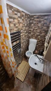 a bathroom with a toilet and a sink at Cabana Floare in Straja