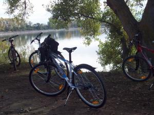 Jazda na bicykli v okolí ubytovania Limnaio