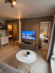 TV a/nebo společenská místnost v ubytování Voss Apartment in Oppheim Resort, pool and view