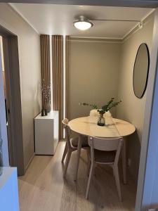 Fotografie z fotogalerie ubytování Voss Apartment in Oppheim Resort, pool and view v destinaci Vossevangen