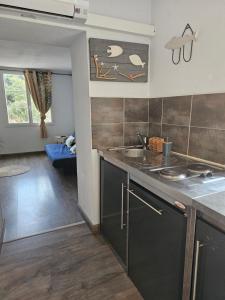 a kitchen with a sink and a counter top at Résidence du Soleil & Spa - Collioure in Collioure +92 photos