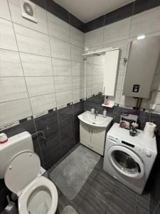 a bathroom with a toilet a sink and a washing machine at My Place in Donje Mladice