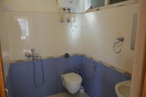 a bathroom with a shower and a toilet and a sink at New Royal Guest House in Leh