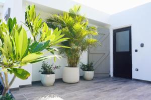Fotografie z fotogalerie ubytování New ! Villa GAMA vue mer ! v destinaci Anse des Flamands